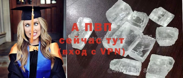 прущие крисы Абинск